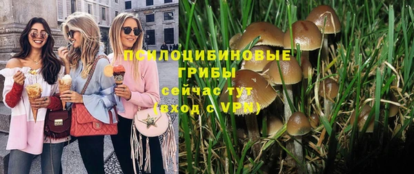 а пвп мука Белокуриха