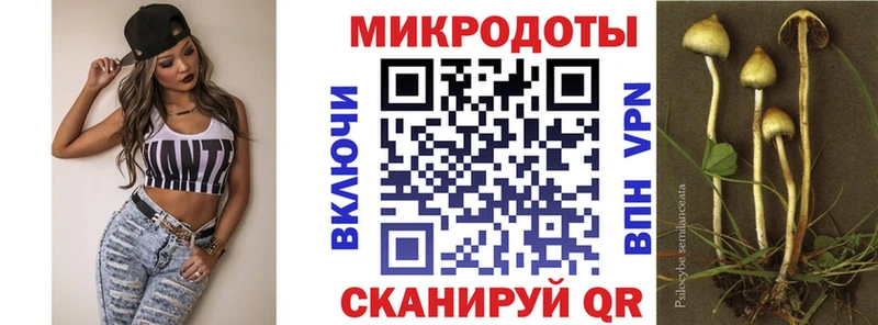 Галлюциногенные грибы Cubensis  купить закладку  Минеральные Воды 