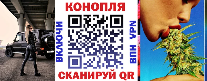 где найти наркотики  Минеральные Воды  KRAKEN рабочий сайт  маркетплейс клад  Шишки марихуана Ganja 
